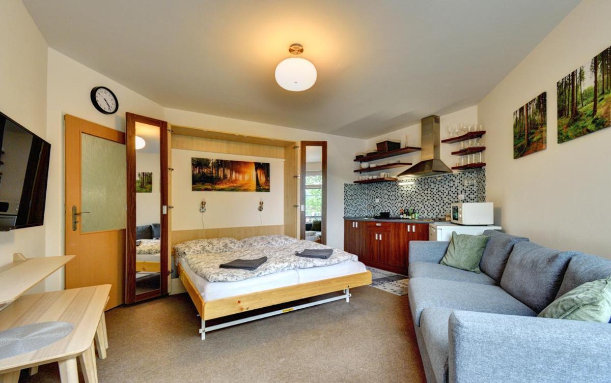 Apartman Modra Hvezda Рокицани Экстерьер фото